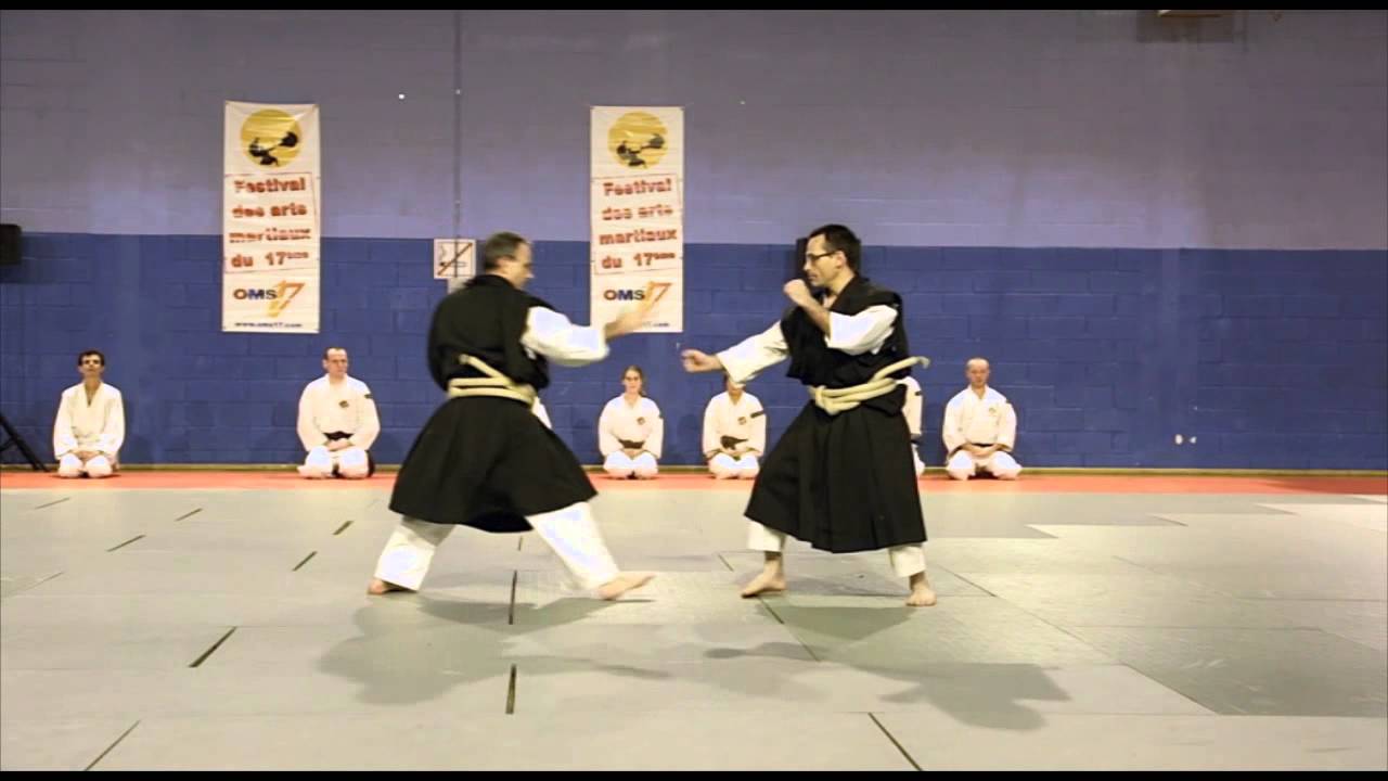 Festivam17 2013 Shorinji Kempo Paris Shibu
