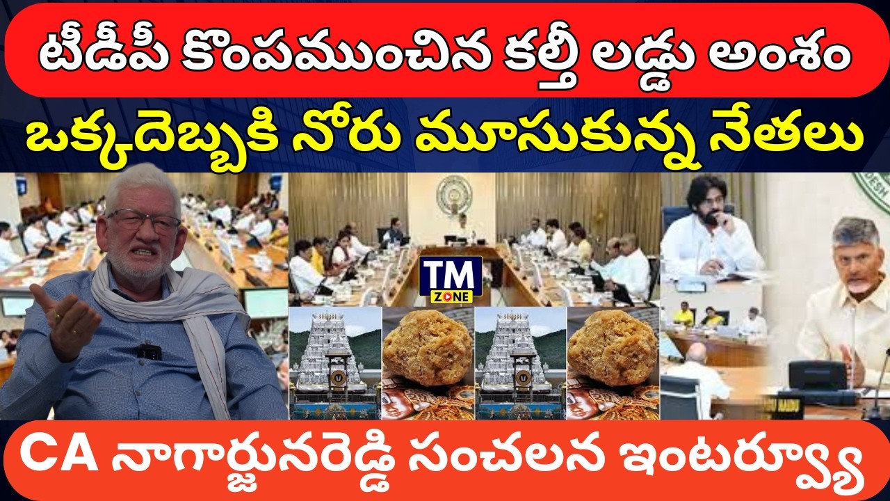 టీడీపీ కొంపముంచిన కల్తీ లడ్డు..! CA Nagarjuna Reddy Sensational Analysis On Why Chandrababu Silence