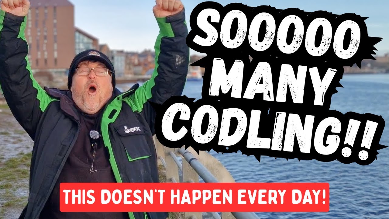Non‑Stop Codling -  Smith's Dock - River Tyne - North East Sea Fishing