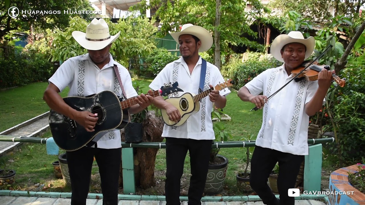 Trio Cenzontle Huasteco - El Comanche