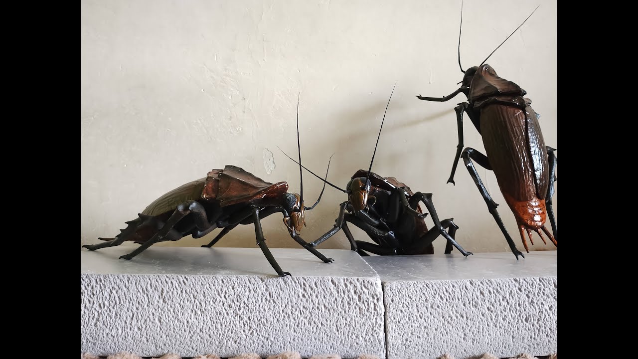 diy giant cockroach