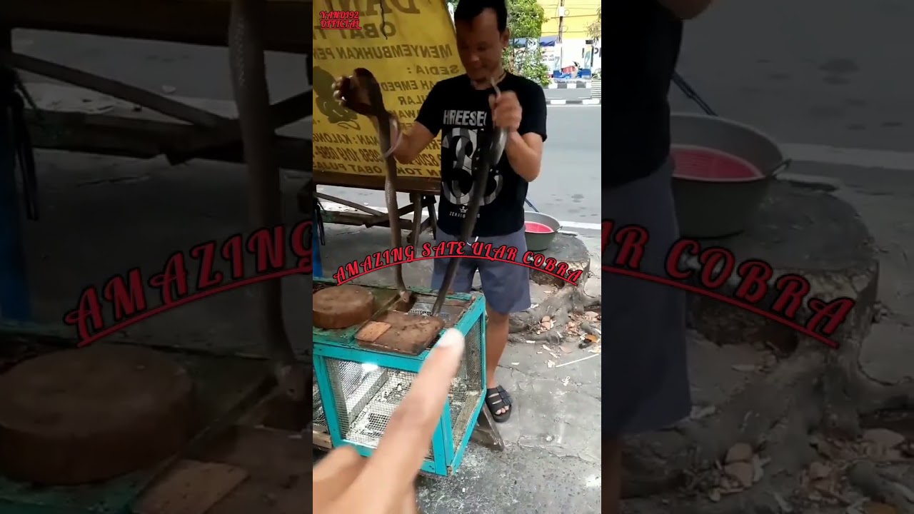 WARUNG KULINER TEREXSTRIME DI INDONESIA.SATE ULAR COBRA
