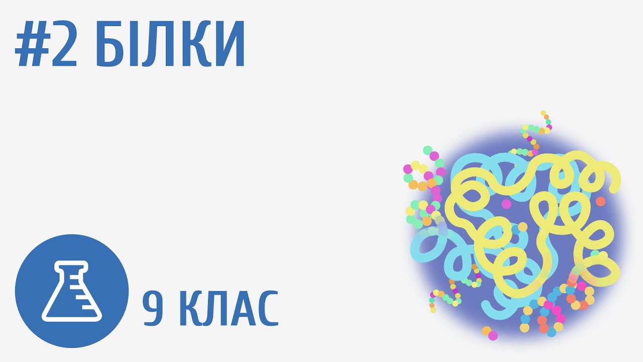 Білки #2