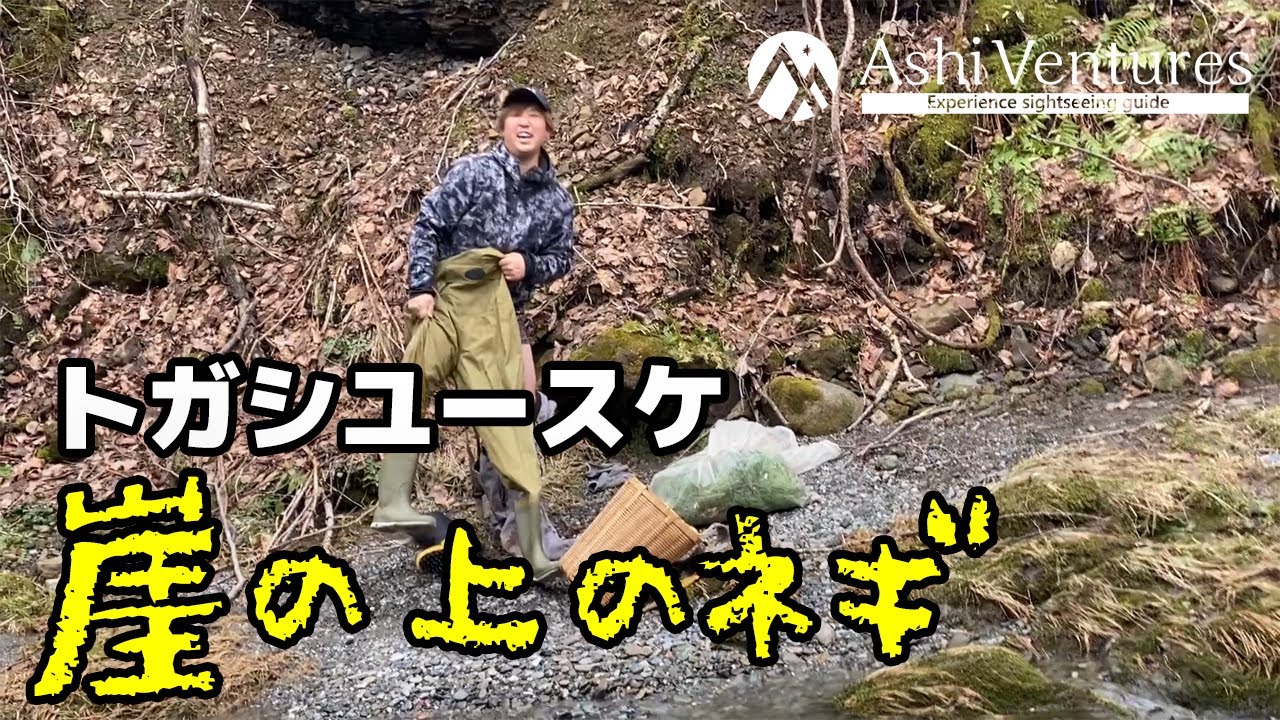 【北海道 芦別市】崖の上のネギ【行者ニンニク紀行】