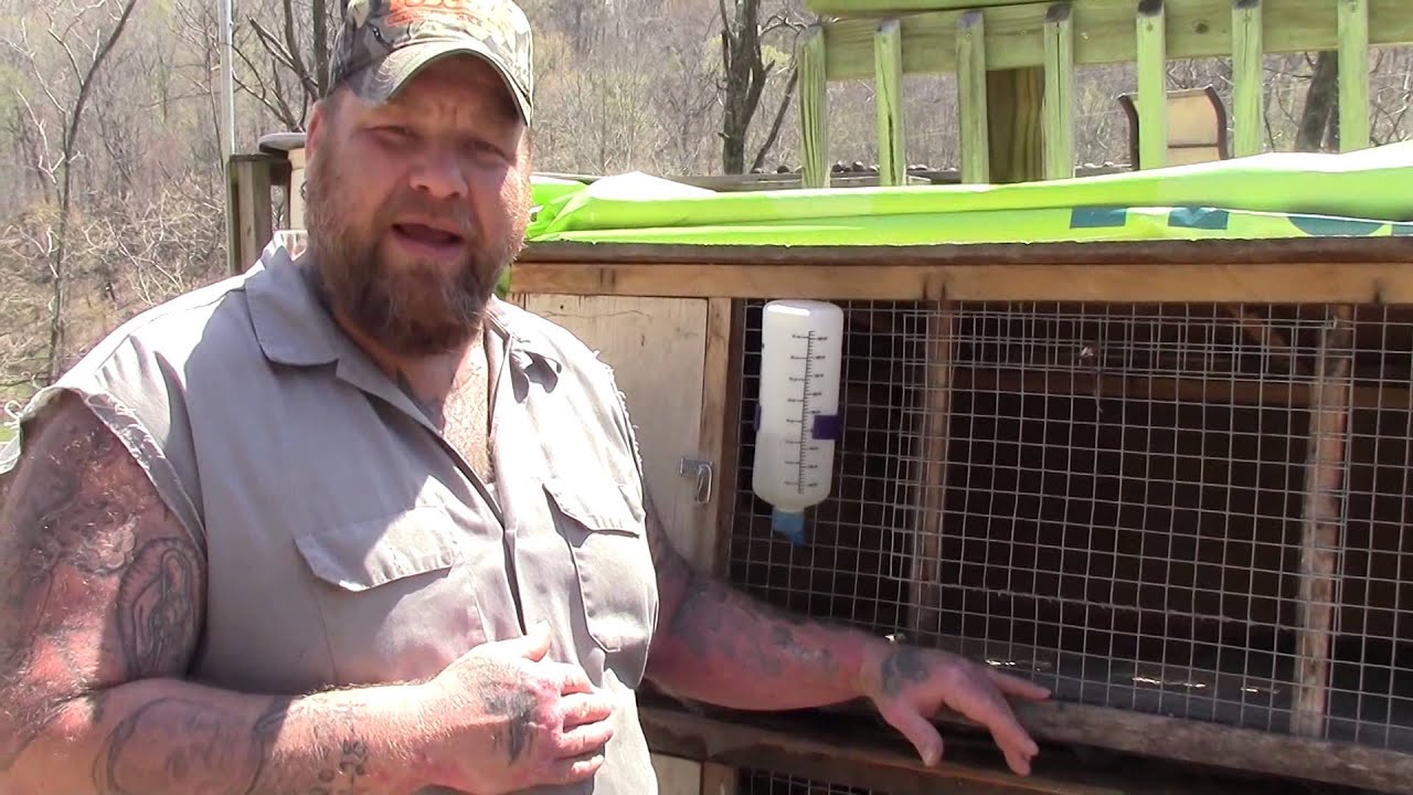 Raising Rabbits: Caring for Mommas and Babies