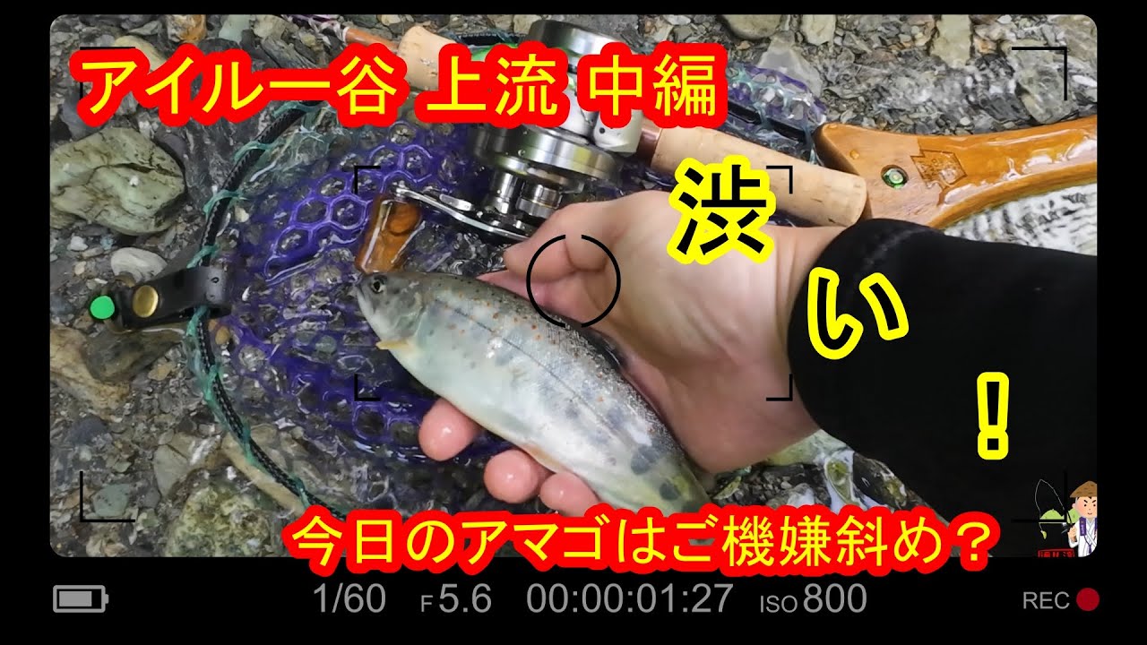 渓流ルアー遍路旅　アイルー谷 上流 中編「ご機嫌斜めなアマゴちゃん」