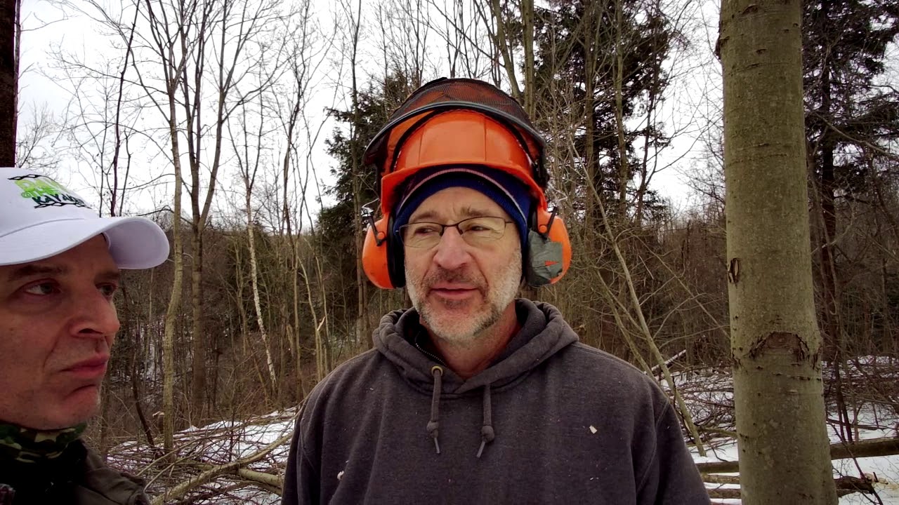 Forest Management and Wildlife Conservation with Dr. Robert Bell - Part 1