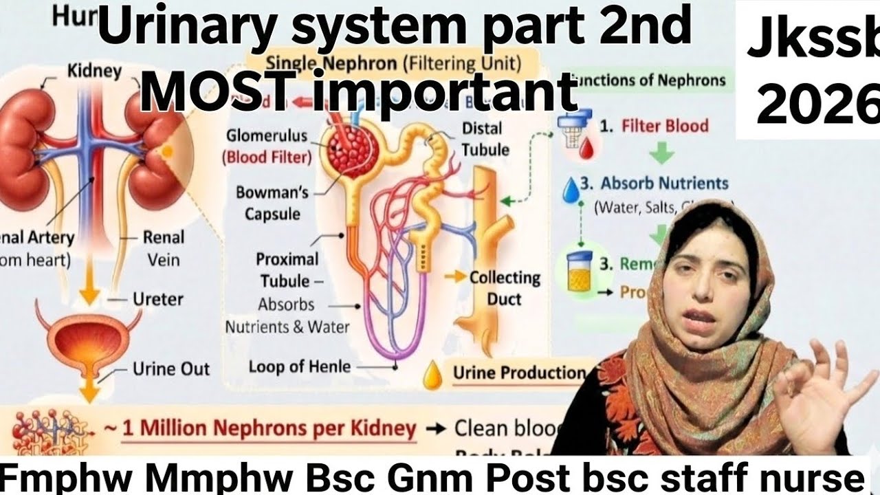 Urinary System Part 2nd | Most Important for JKSSB & Nursing Exams | New Post By Saima Mam