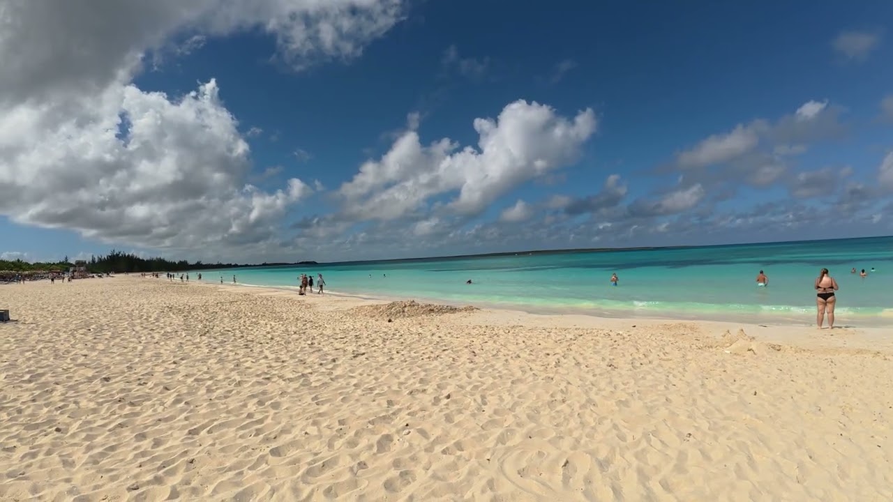 The One Gallery - Beach - January 6, 2026