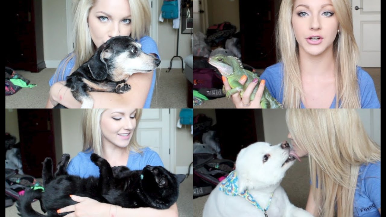 Meet My Pets ♡ 