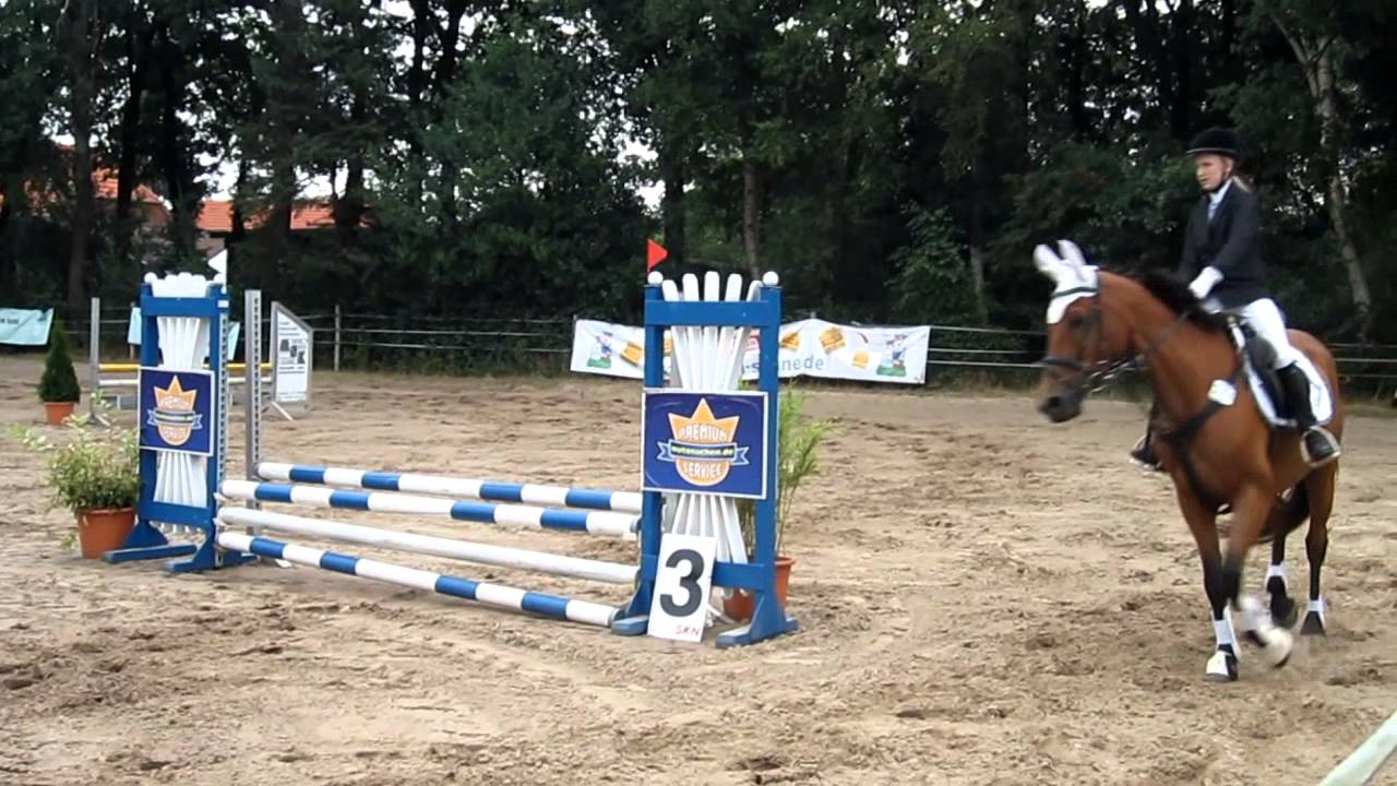 Mein erstes E Springen ( Stilspringen )