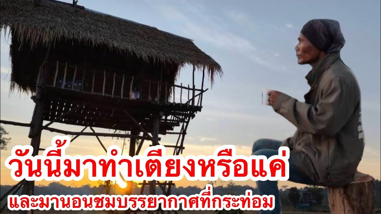 วันนี้มาทำเตียงหรือแค่  แล้วนอนชมบรรยากาศอยู่ที่กระท่อมนาดงหนองมะกอก 22/2/2569 | เด่นเดินดง