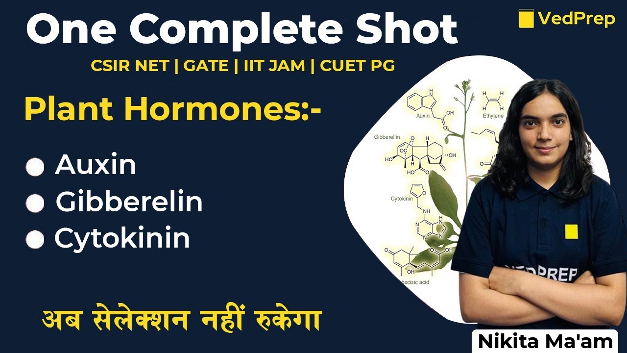 Plant Physiology | Plant hormones | CSIR NET | GATE | IIT JAM | CUET PG | VedPrep Biology Academy
