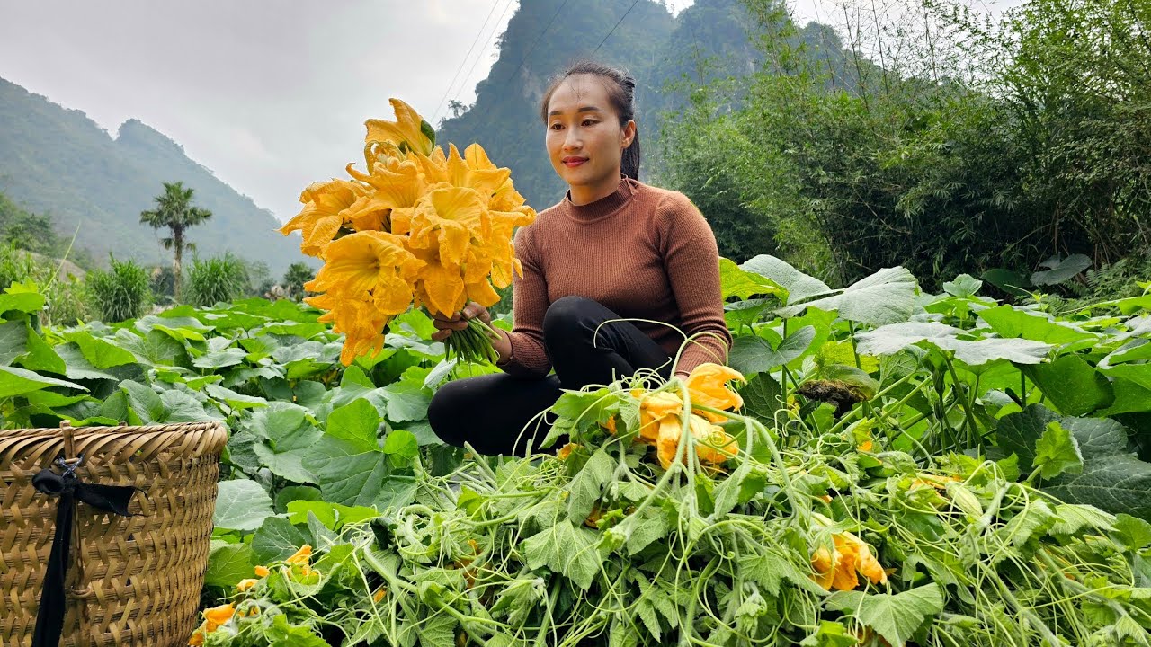 Harvest vegetables garden & squash flowers goes to market sell - Cooking | Ly Thi Tam