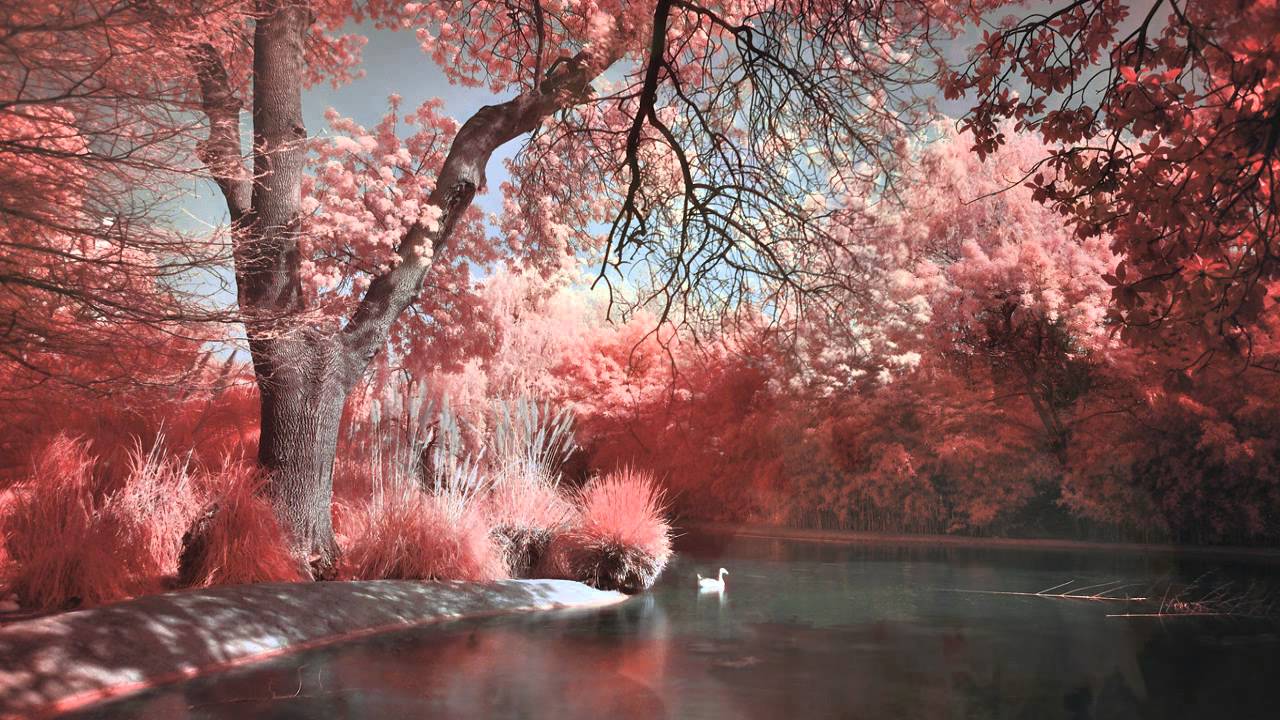 The Best Emotional & Uplifting Trance # 2