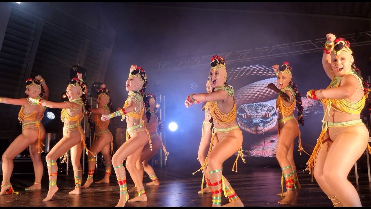 Vai Quem Quer - Viradouro 2024 @Festival Samba Estarreja 2024