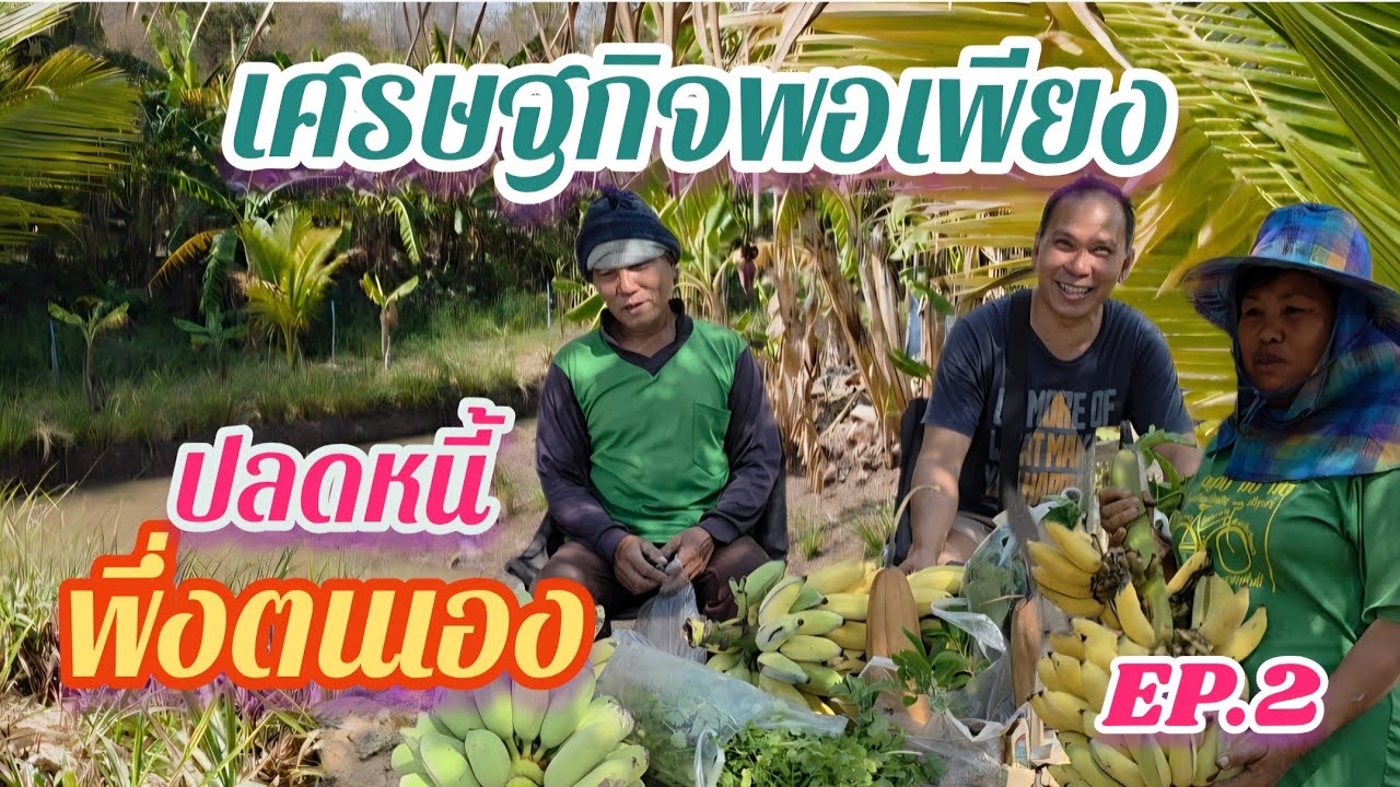 เศรษฐกิจพอเพียง เกษตรผสมผสาน ปลดหนี้ได้จริง พึ่งตัวเองได้ EP.2 @อ้ายวัช 