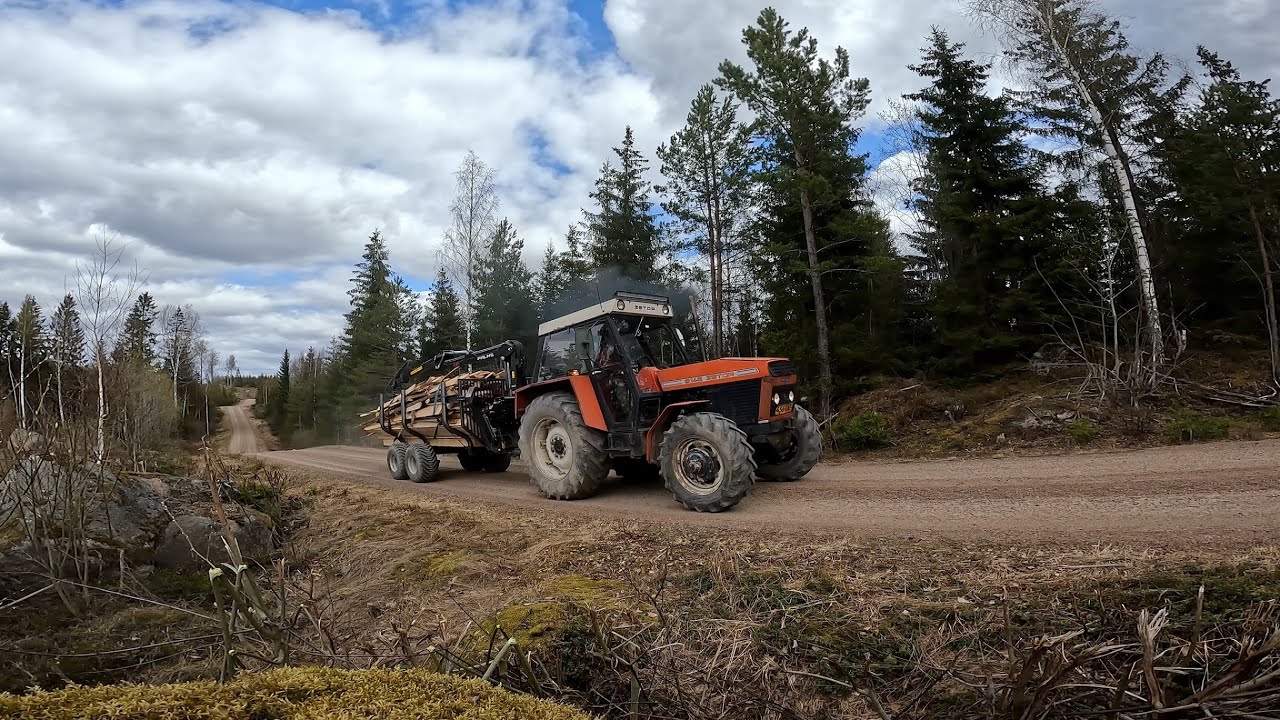Viedään tukkeja sahalle, Zetor 8145 Turbo Palms 3.67 8SX