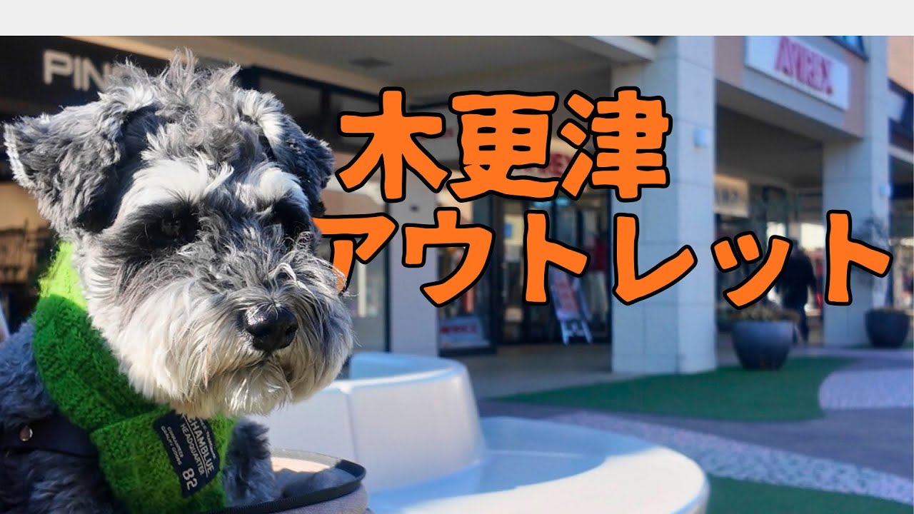 【千葉県木更津アウトレット】デカシュナとアウトレット/鳥居崎海浜公園/シュナウザーと夫婦