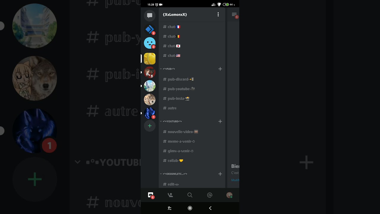 Ceci est mon serveur discord OFFICIEL /description/