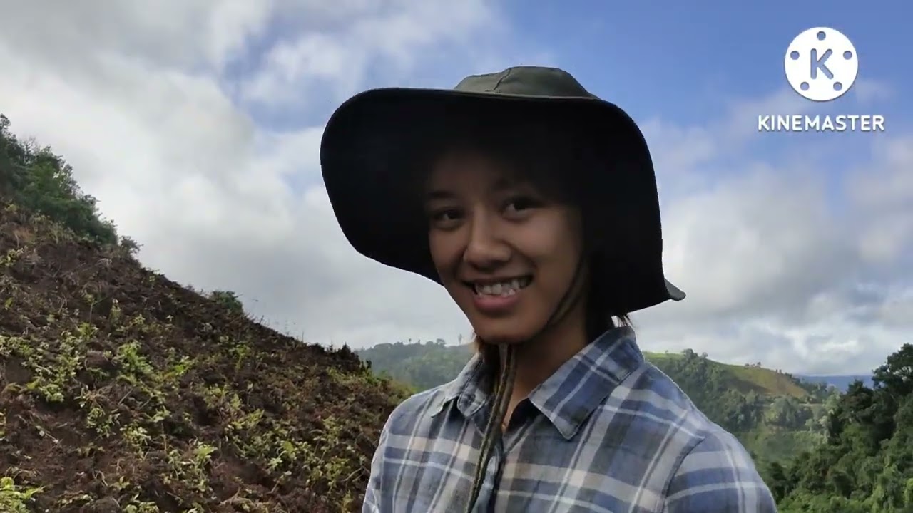 ปลูกถั่วดำ ถั่วแดง วิถีชีวิตของปกากะญอ
