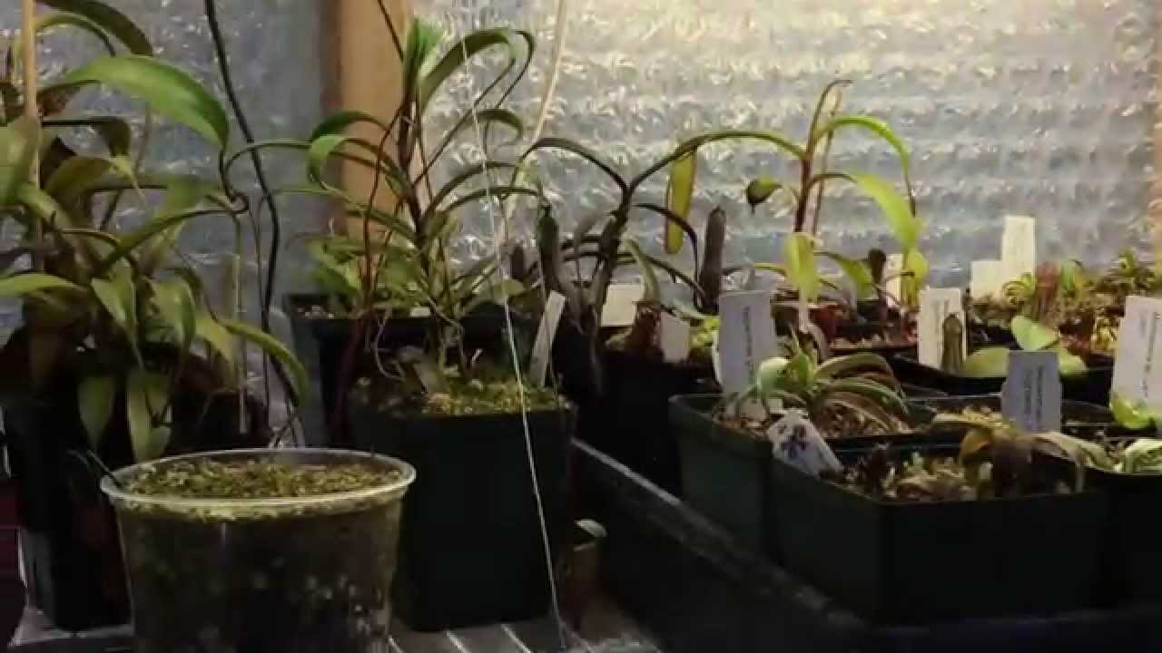 SUPPLEMENTAL GREENHOUSE LIGHTING FOR THE DARK DAYS OF WINTER - SAFETY FIRST!