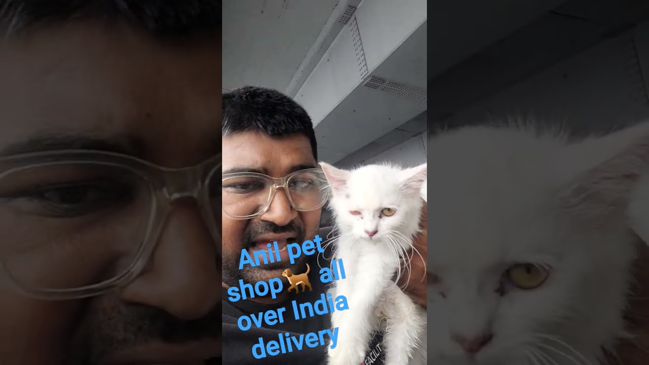 Anil Pet Shop all over India delivery
