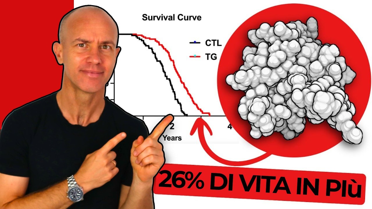 L&rsquo;Ormone che Allunga la Vita (e che nessuno conosce)