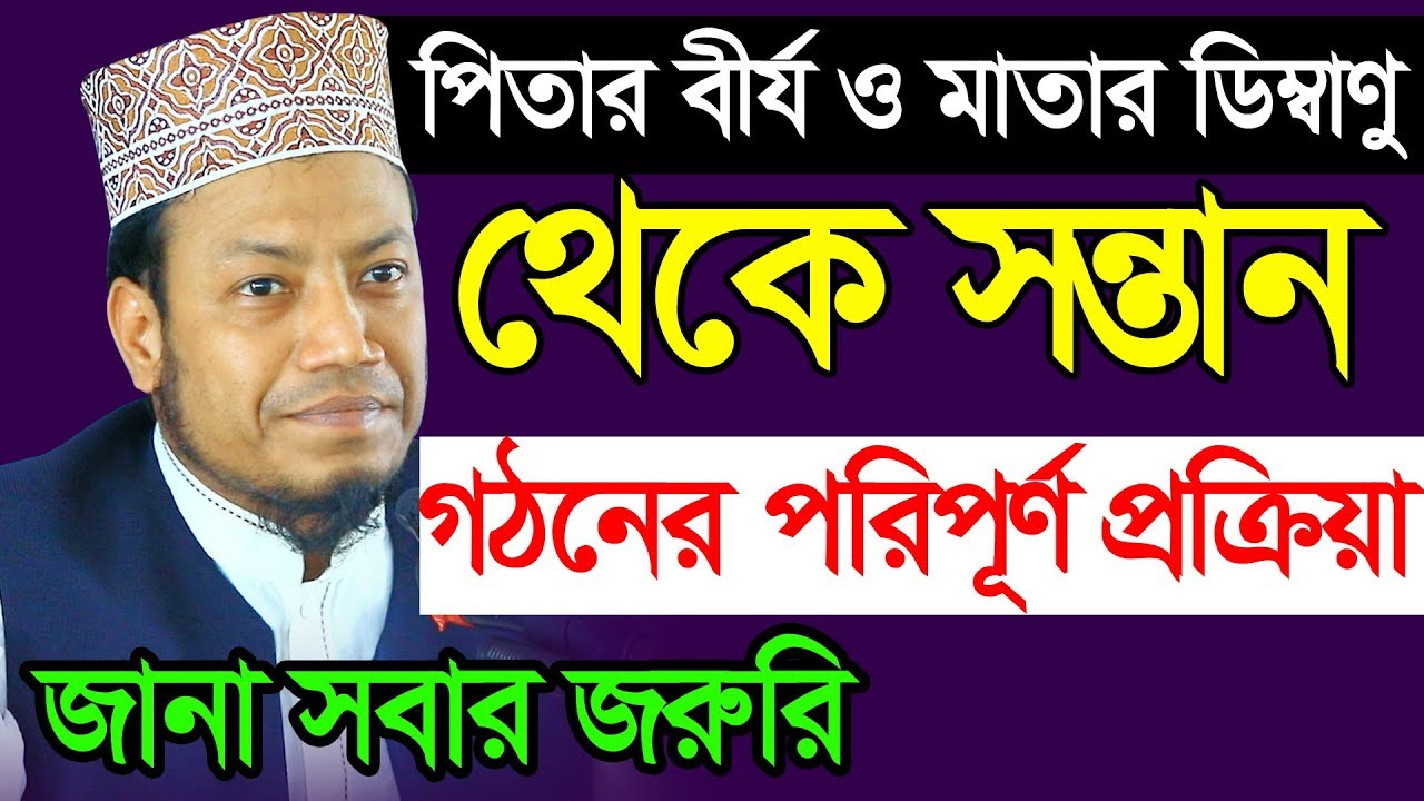 মায়ের পেটে সন্তান গঠন প্রক্রিয়া ।। মুফতি আমির হামজা ।। Amir Hamza new waz 2020