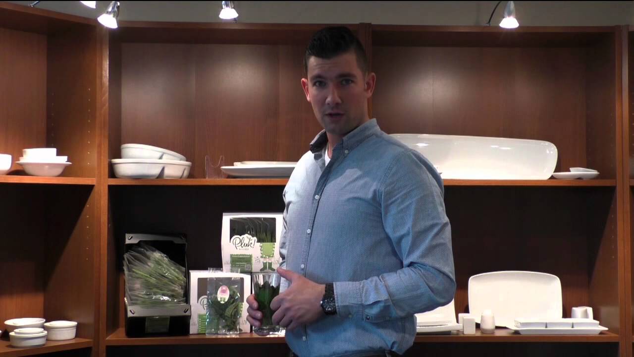 Horesca Smulders - Presenteerd Plukkruidje met Jan-Willem