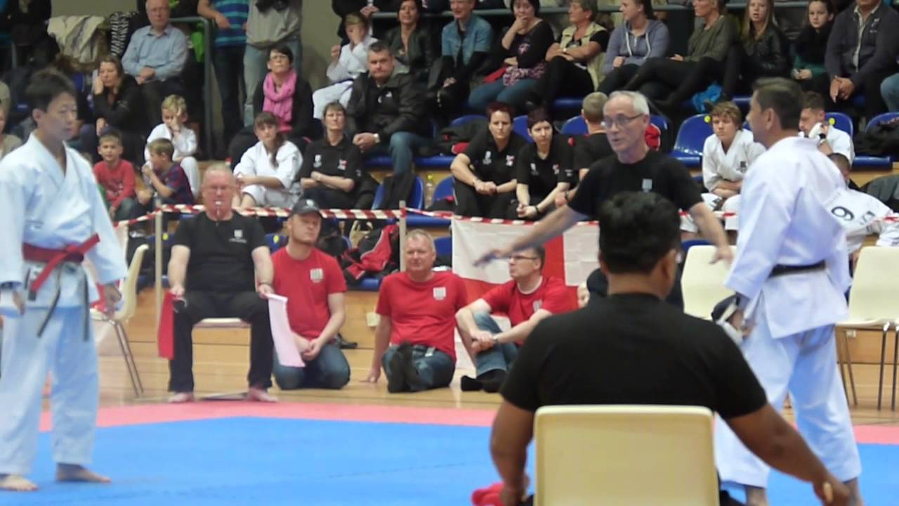6th World Cup KWF Kumite Darwin Rojas (Venezuela) vs France