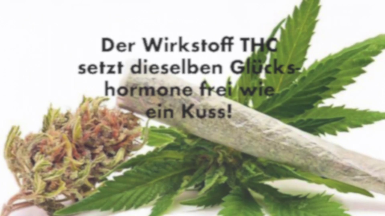 9 Fakten &uuml;bers Kiffen