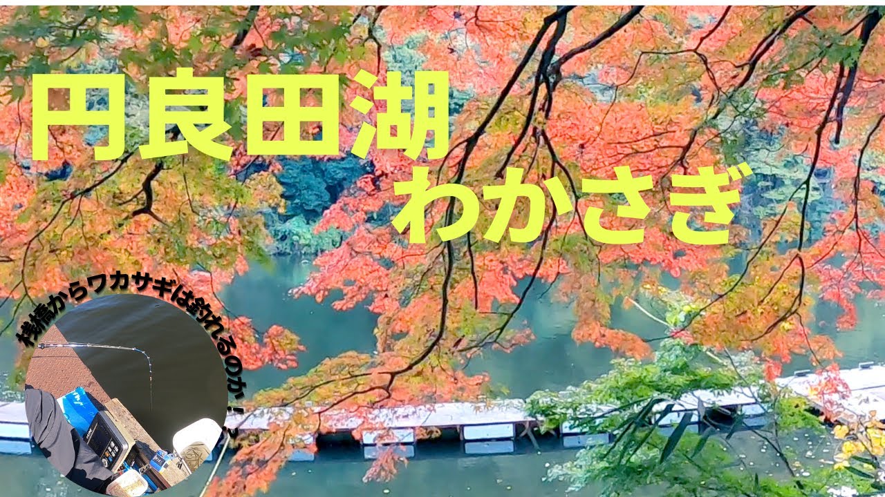 桟橋からわかさぎ釣りが出来る湖！！埼玉県・円良田湖