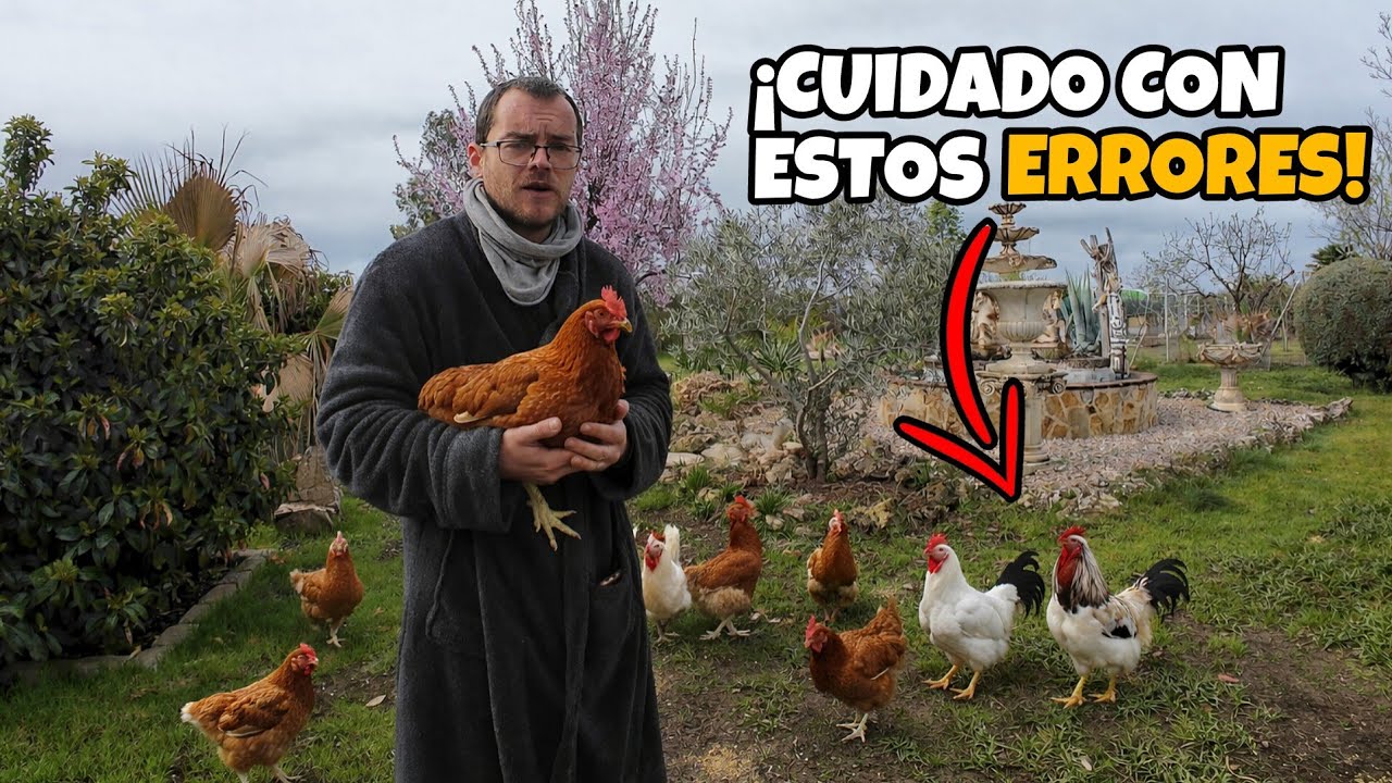 Los 10 ERRORES más comunes que comete la gente al tener gallinas en casa.