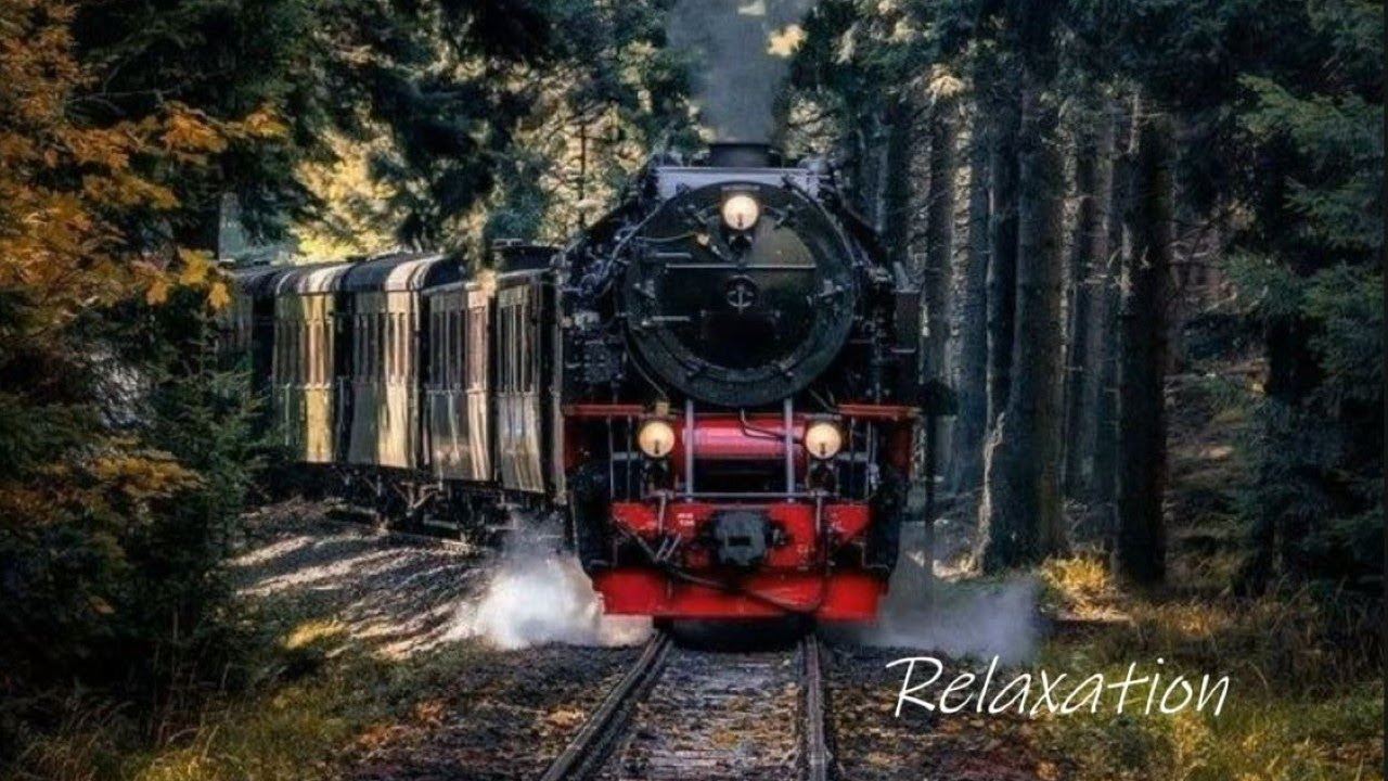 1 hour of relaxation with the sound of train wheels sliding on the rails #nature #476 #train
