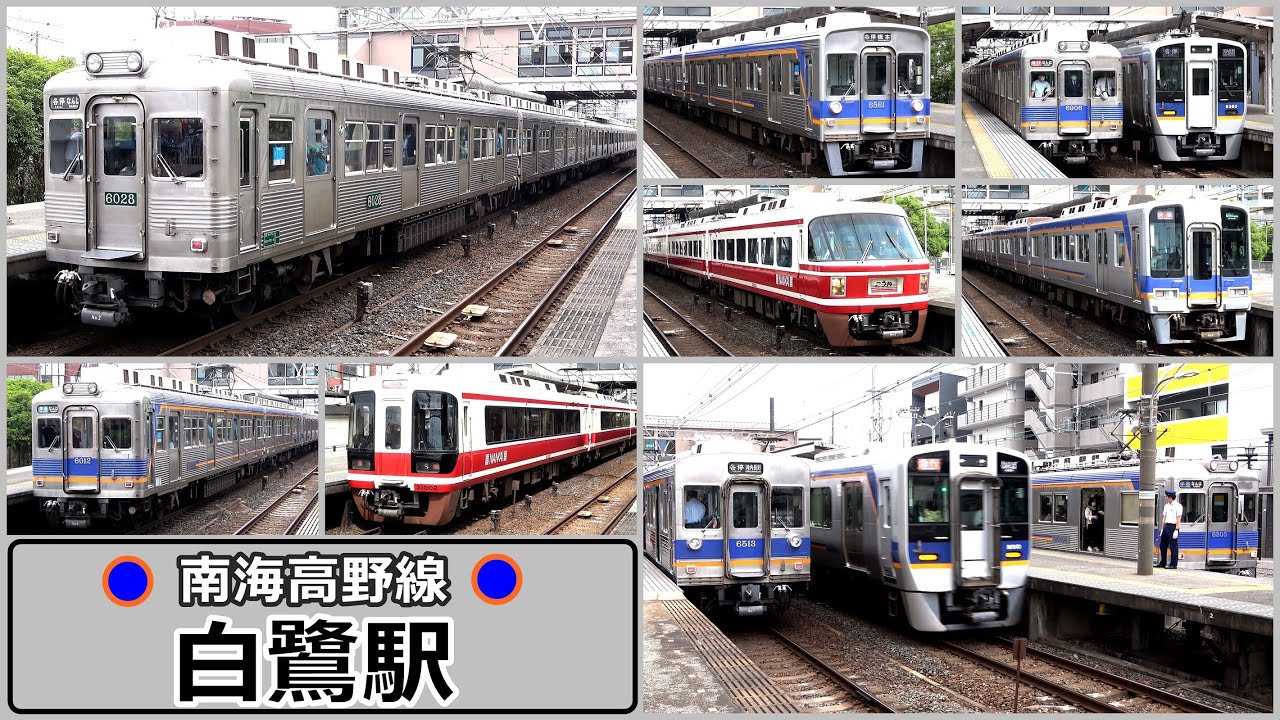 6000系も大活躍 !!  朝ラッシュ時の白鷺駅にて【南海高野線】2024年6月　#KAZUの鉄道館