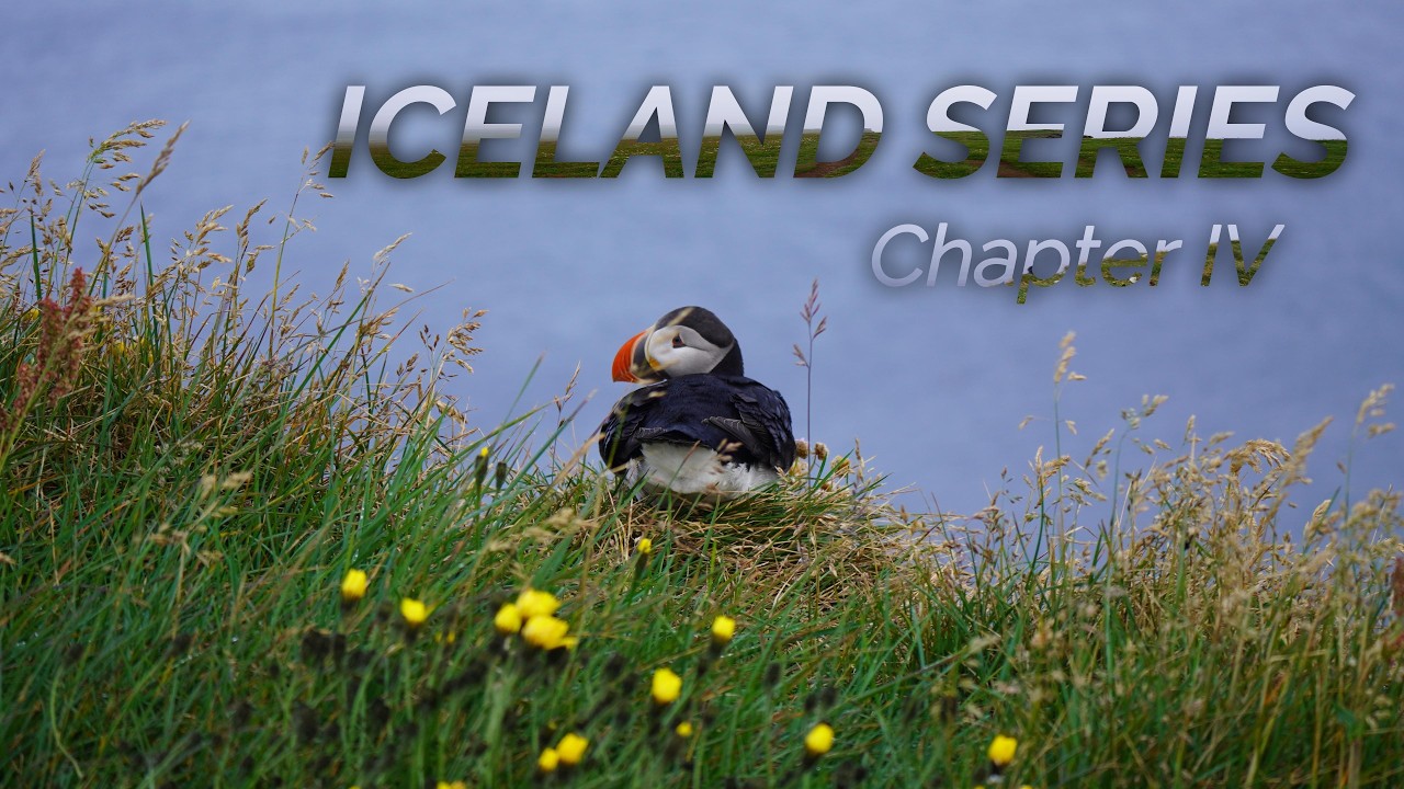 THE ICELAND SERIES - #4 | Westfjorde, Puffins, Gletscher, Dynjandi-Wasserfall
