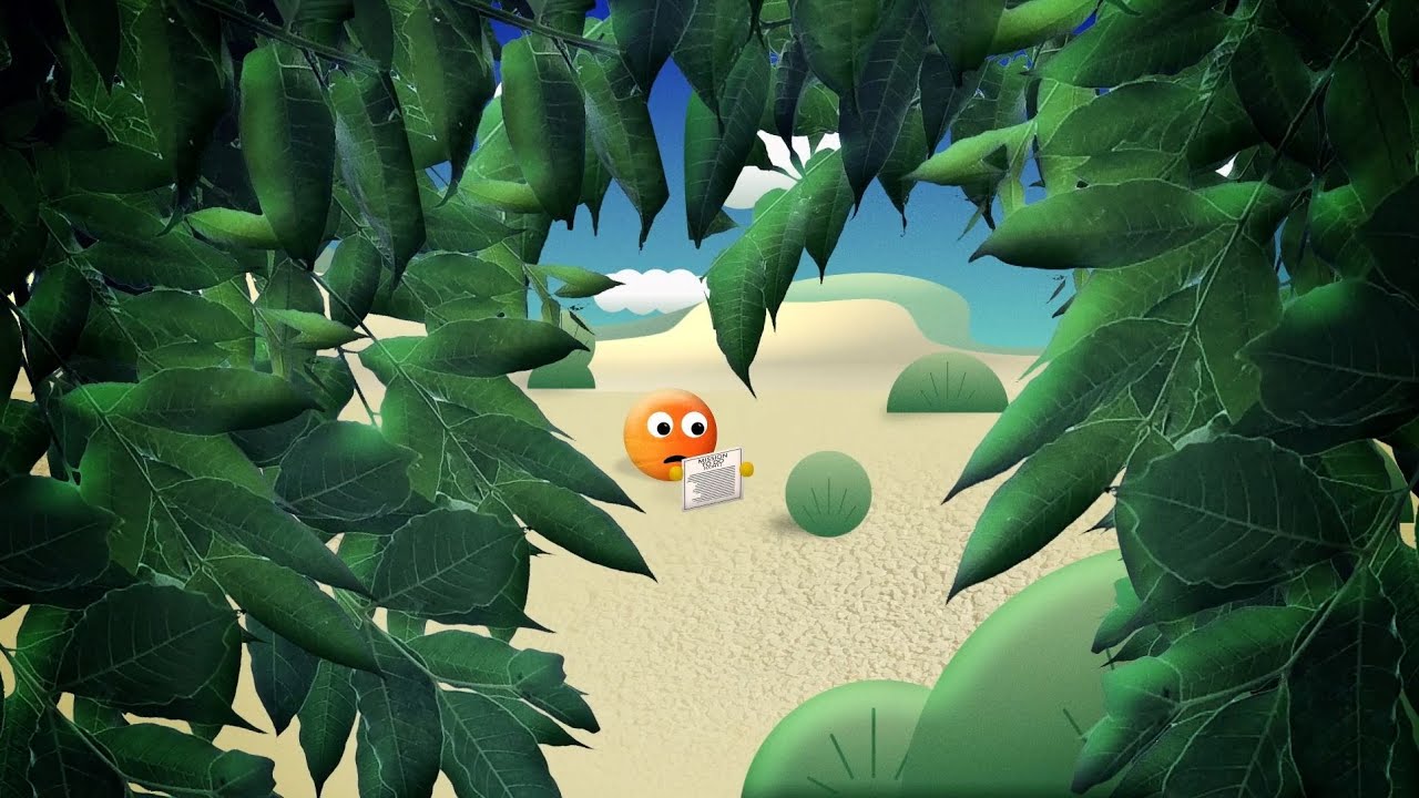 Introduction to MonkeyPod