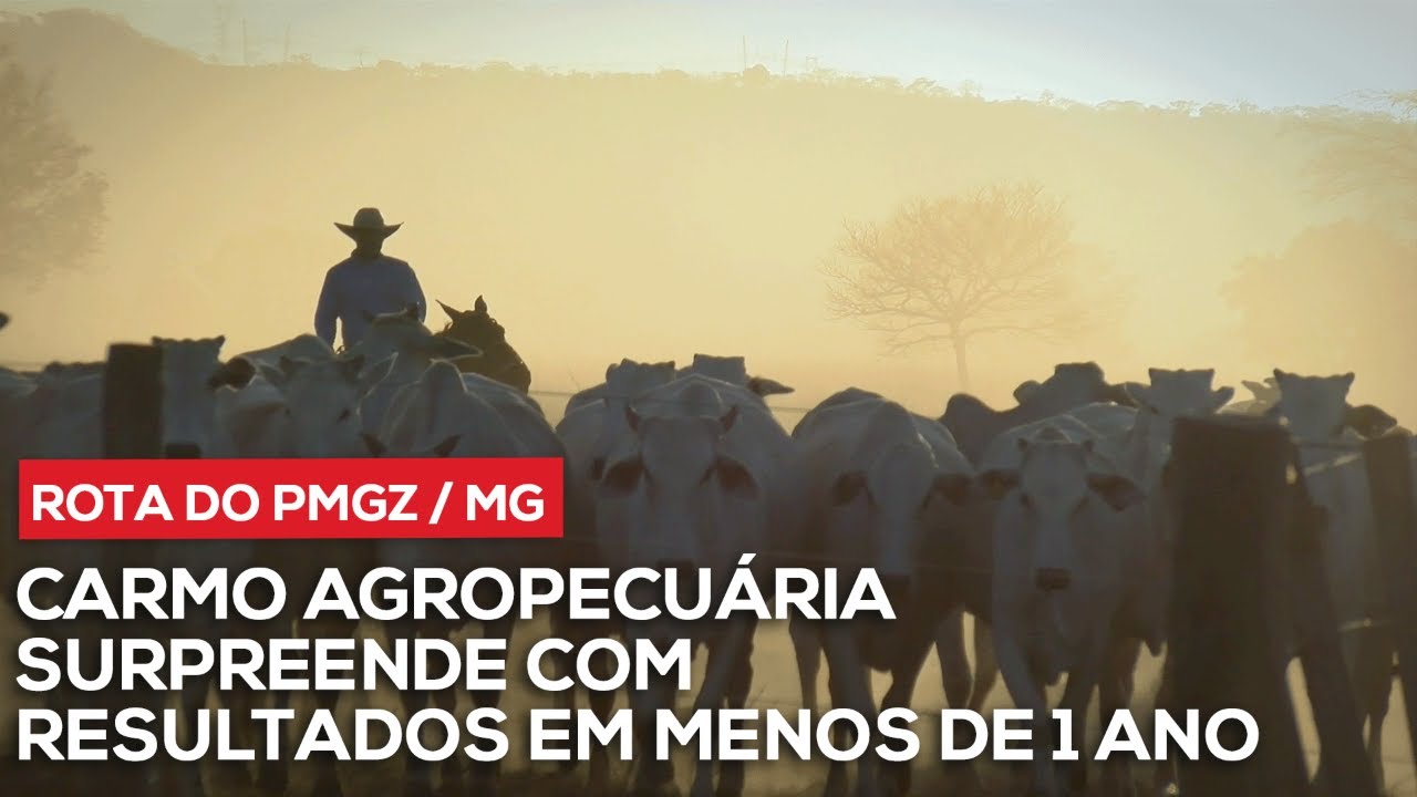 Rota PMGZ em Minas Gerais - Conhe&ccedil;a a Carmo Agropecu&aacute;ria