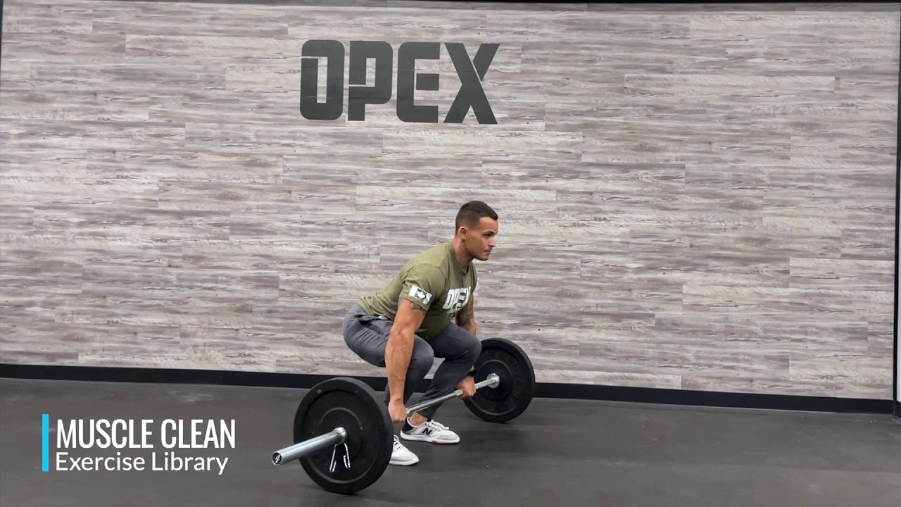 Muscle Clean