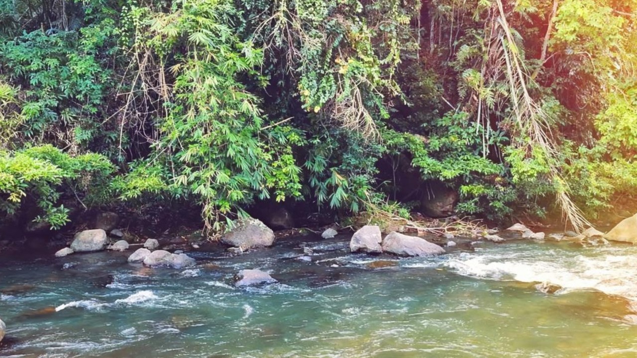 Serene Natural River Sounds 🌿 Calm White Noise Ambience