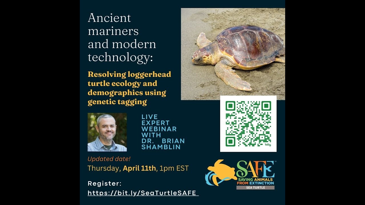 Dr  Brian Shamblin, Sea Turtle SAFE Expert Webinar, April 2024