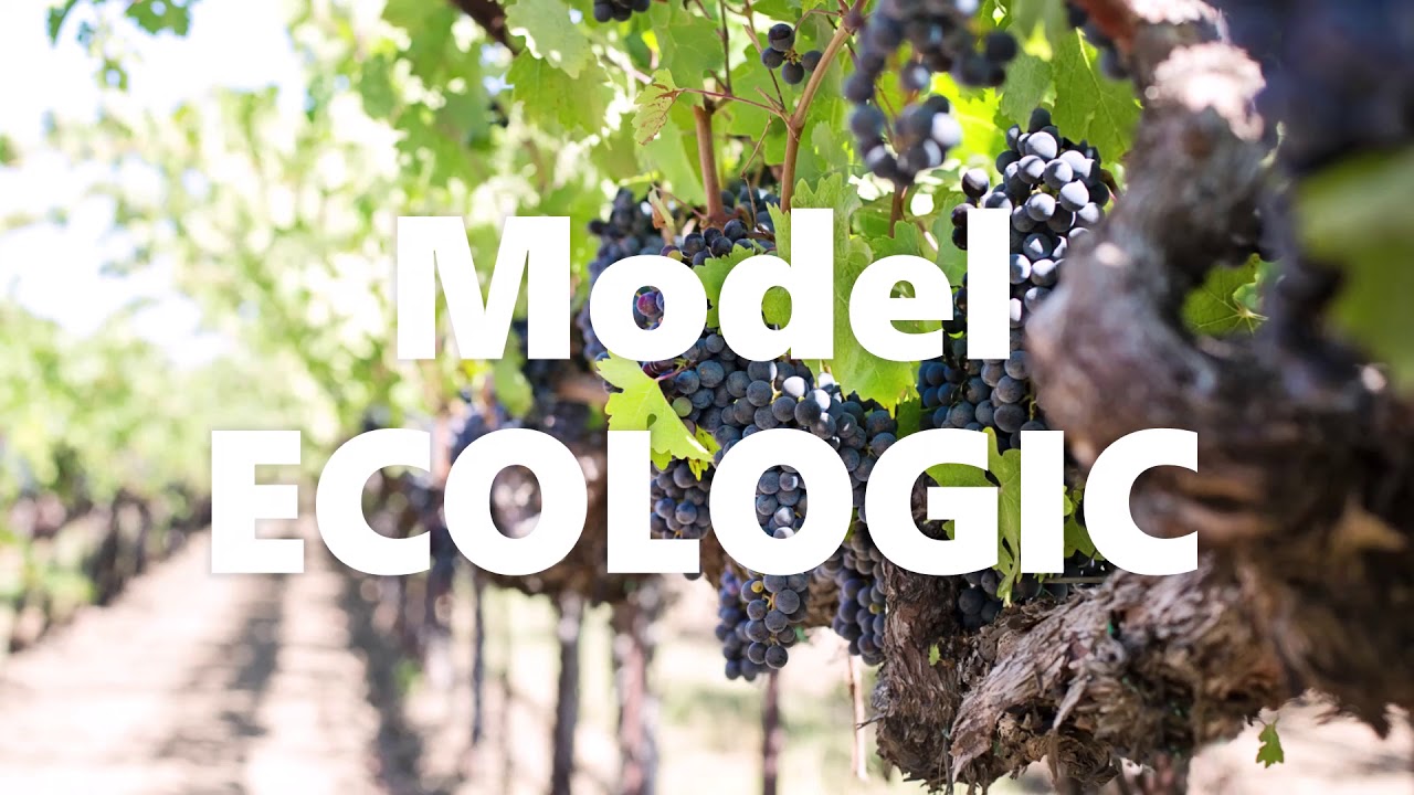 Vineyard mounted sprayers