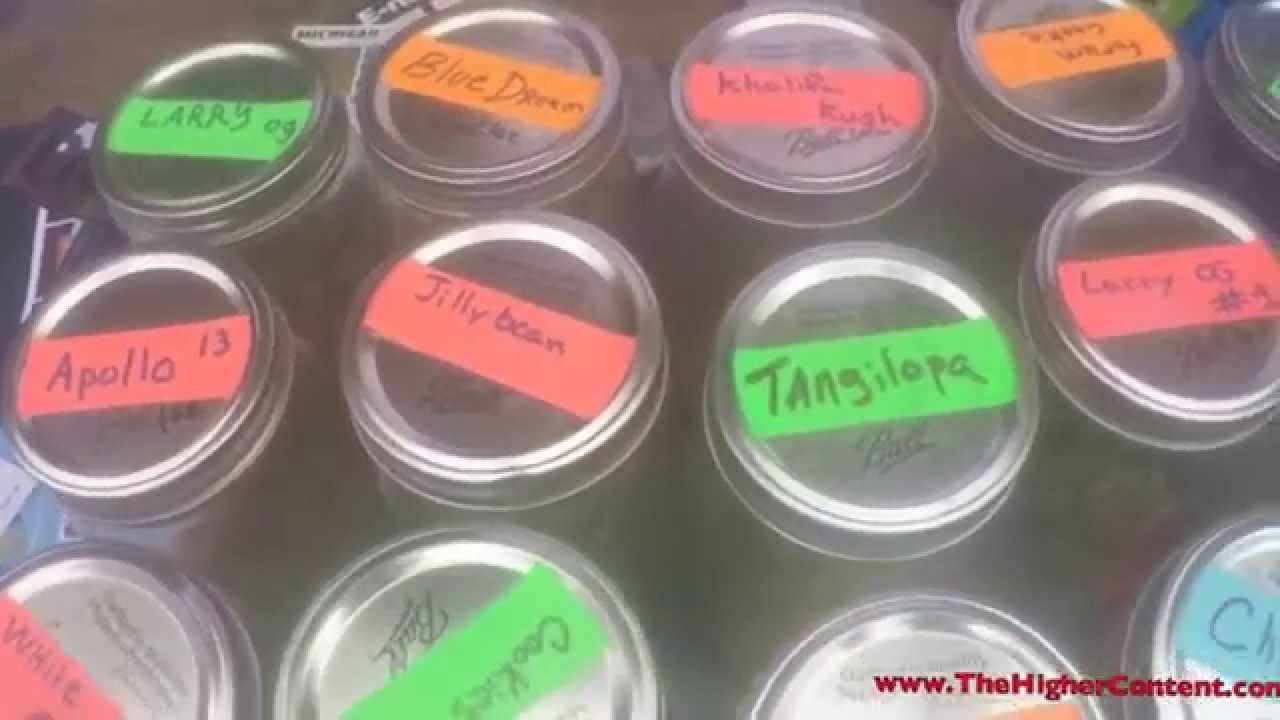 High Times Magazine Michigan Medical Cannabis Cup 2015