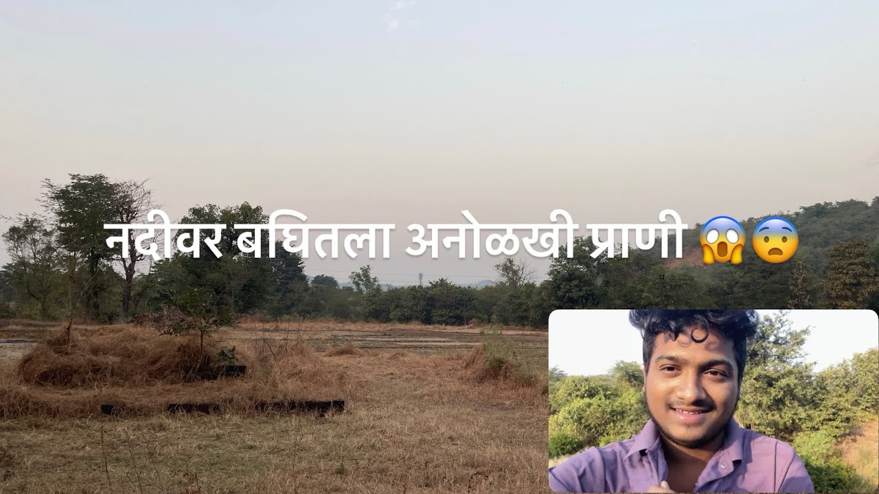 आज नदिवर बघितला अनोळखी प्राणी 😱😨. Vlog No - 73 ❤️