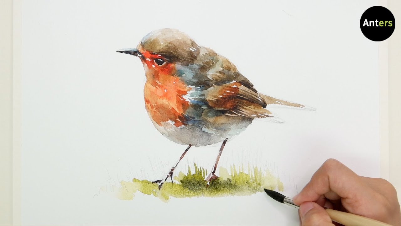 How to Draw a Bird(Robin) in Watercolor