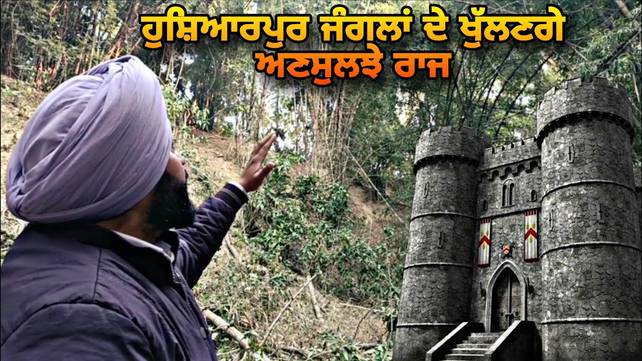 “ਹੁਸ਼ਿਆਰਪੁਰ ਦੇ ਜੰਗਲ — ਕੁਦਰਤ ਦਾ ਲੁਕਿਆ ਖ਼ਜ਼ਾਨਾ 🌳✨”“Punjab da Green Heart – Hoshiarpur Forests 🌿💚