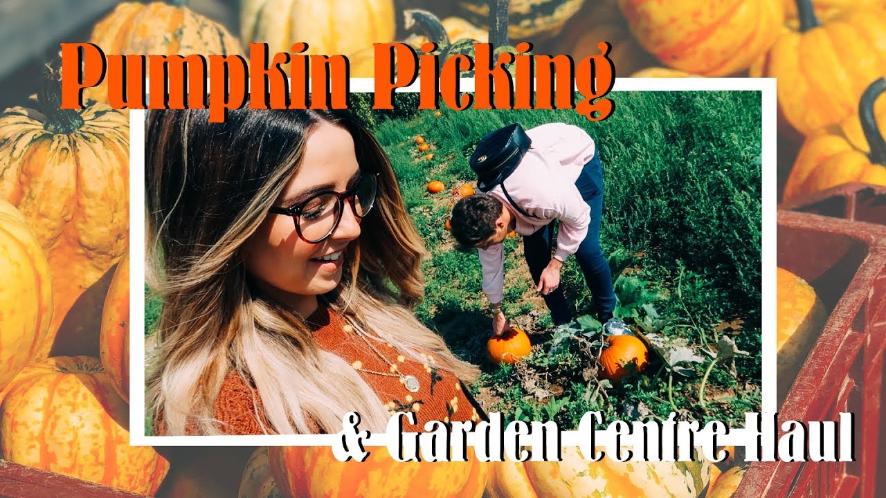 Pumpkin Picking & Garden Centre Haul