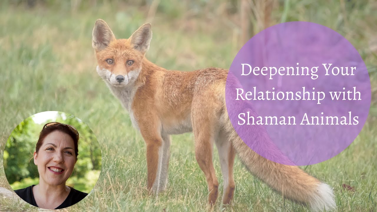 Deepening Your Relationship with Shaman Animals | Cultivating Connection & Guidance 🪶