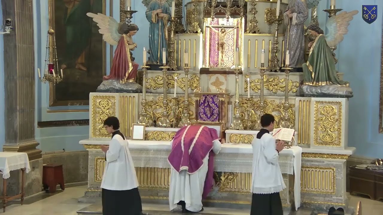 Santo Sacrificio de la Misa, Feria, San Patricio, Obispo y Mártir, 17 de marzo 2026.